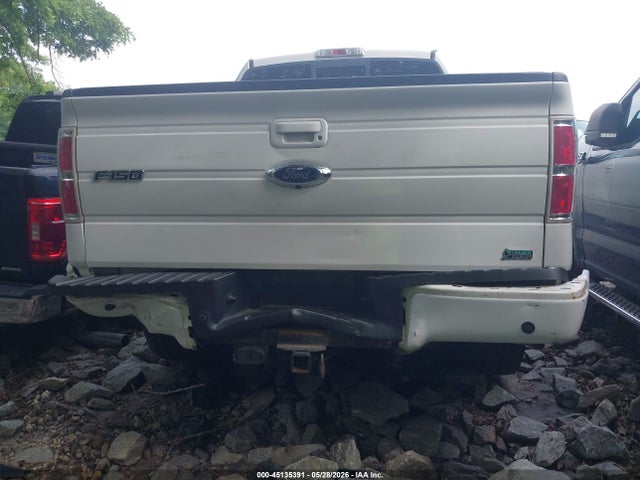 Aukcja sprzedaży 2010 Ford F-150 Fx4/harley-davidson/king Ranch/lariat/platinum/xl/xlt, vin: 1FTFW1EV8AFD96633, numer aukcji: 45135391