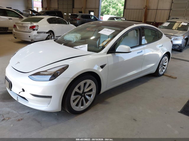 Tesla Model 3 Rear-wheel Drive 2023 5YJ3E1EA5PF511494 Image 2