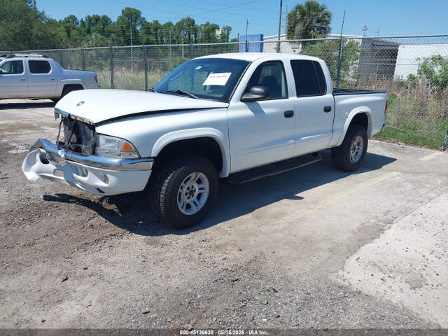 Продаж на аукціоні авто 2003 Dodge Dakota Slt, vin: 1D7HG48N13S192811, номер лоту: 45136638