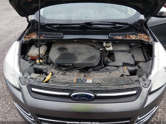 Продаж на аукціоні авто 2014 Ford Escape Se, vin: 1FMCU0GX3EUE39726, номер лоту: 45137898