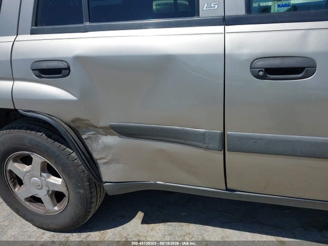 Продажа на аукционе авто 2003 Chevrolet Trailblazer Ls, vin: 1GNDT13S132116738, номер лота: 45139303