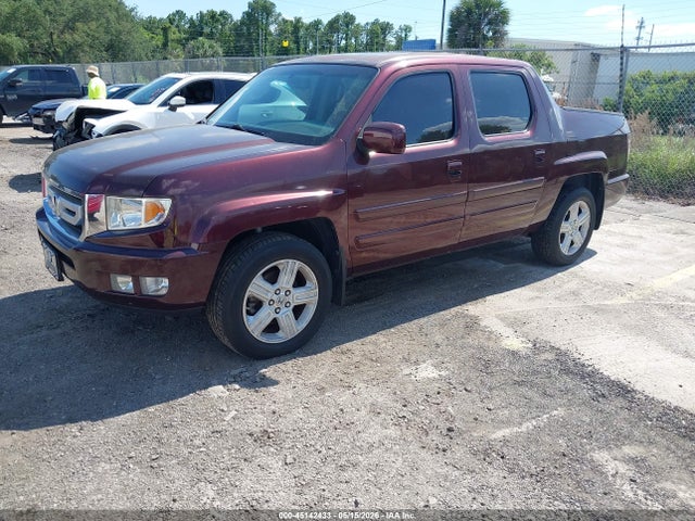2009 Honda Ridgeline Rtl მანქანა იყიდება აუქციონზე, vin: 2HJYK16599H500569, აუქციონის ნომერი: 45142433