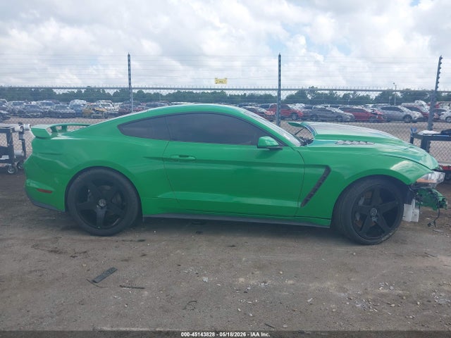 Ford MUSTANG GT 2019 1FA6P8CFXK5116807 Image 13