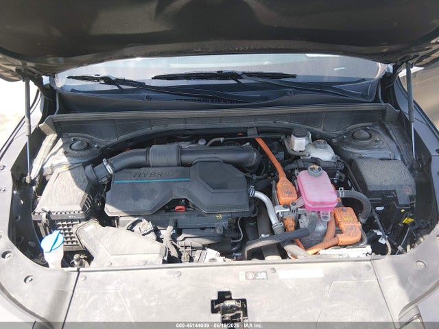 45144009 :رقم المزاد ، KNDRKDJG4S5354291 vin ، 2025 Kia Sorento Hybrid Sx Prestige مزاد بيع