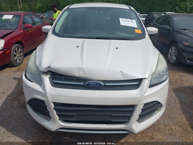Aukcja sprzedaży 2014 Ford Escape Se, vin: 1FMCU0GX5EUE09093, numer aukcji: 45146780
