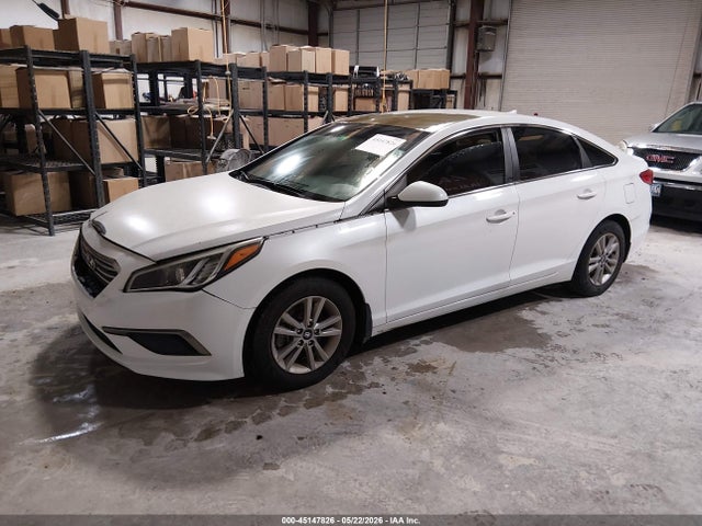 5NPE24AF4GH321966 Hyundai SONATA SE