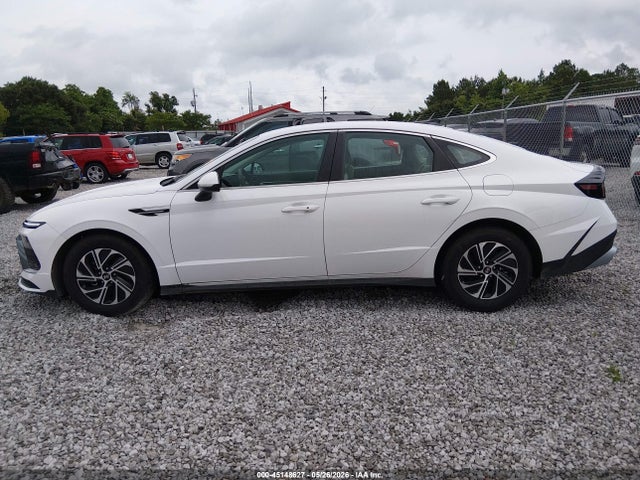 Auction sale of the 2026 Hyundai Sonata Hybrid Blue, vin: KMHL24JJ3TA142892, lot number: 45148627