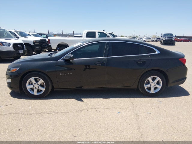 Chevrolet Malibu 1fl 2019 1G1ZC5ST2KF180271 Image 19
