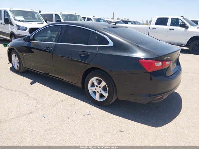 Chevrolet Malibu 1fl 2019 1G1ZC5ST2KF180271 Image 3