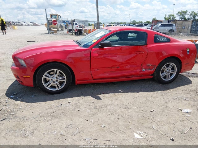 Продаж на аукціоні авто 2013 Ford Mustang V6, vin: 1ZVBP8AM6D5216235, номер лоту: 45159891