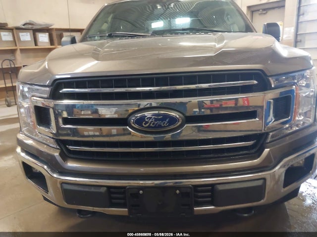 45160475 :رقم المزاد ، 1FTEW1EBXKKD65569 vin ، 2019 Ford F-150 Xlt مزاد بيع