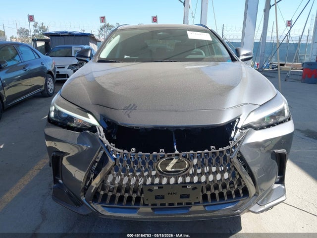 Lexus NX 250 2025 2T2ADCAZ8SC021190 Image 12