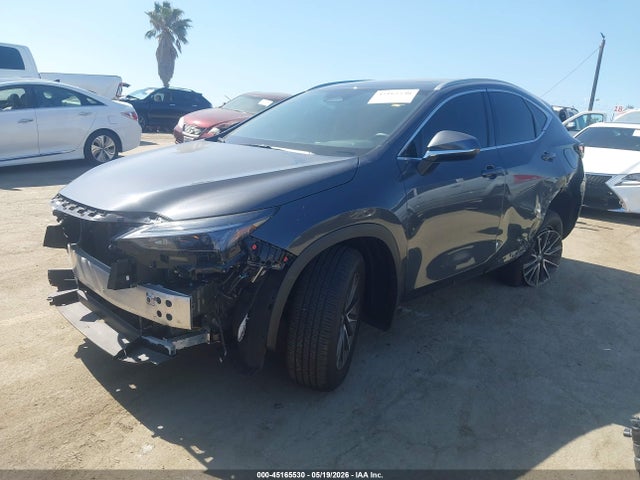 2025 Lexus Nx 250 მანქანა იყიდება აუქციონზე, vin: 2T2ADCAZ6SC030809, აუქციონის ნომერი: 45165530