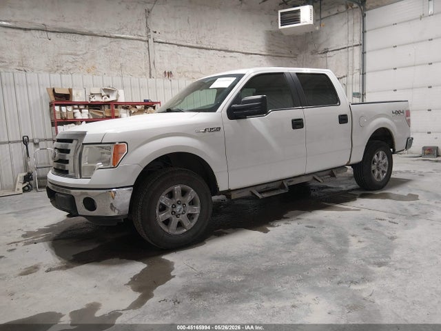 45165994 :رقم المزاد ، 1FTFW1EF8BFC15377 vin ، 2011 Ford F-150 Xlt مزاد بيع