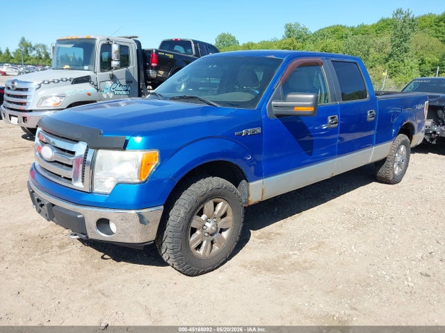 45168092 :رقم المزاد ، 1FTPW14V89FA07149 vin ، 2009 Ford F-150 Fx4/king Ranch/lariat/platinum/xl/xlt مزاد بيع