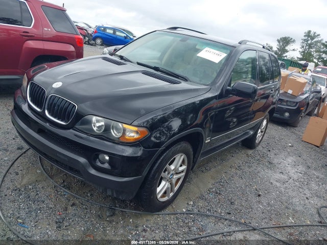 2005 Bmw X5 3.0i მანქანა იყიდება აუქციონზე, vin: 5UXFA13525LY23179, აუქციონის ნომერი: 45173385