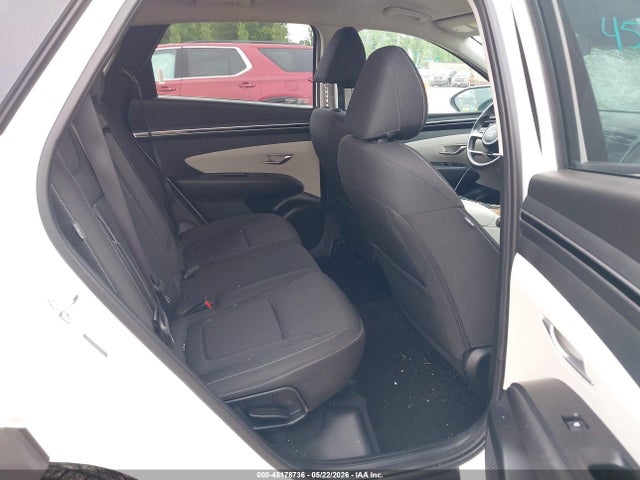 Hyundai TUCSON SEL 2024 5NMJBCDE4RH342795 Image 8