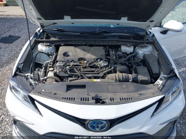 4T1C31AKXPU053569 Toyota Camry Le Hybrid