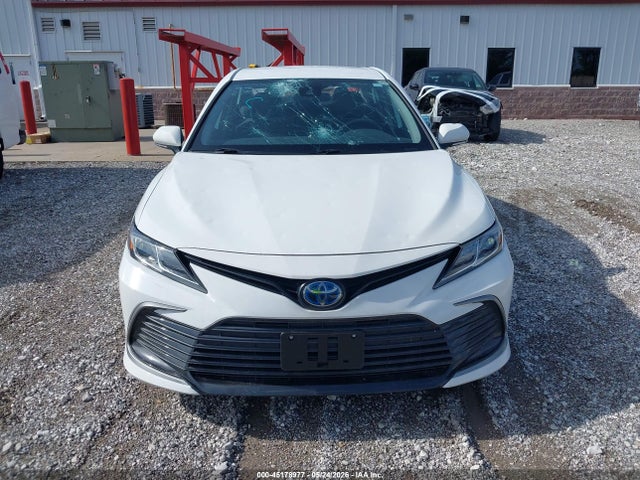 4T1C31AKXPU053569 Toyota Camry Le Hybrid