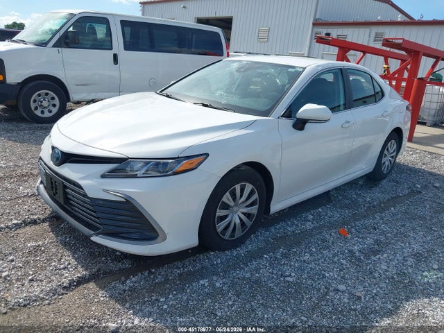4T1C31AKXPU053569 Toyota Camry Le Hybrid