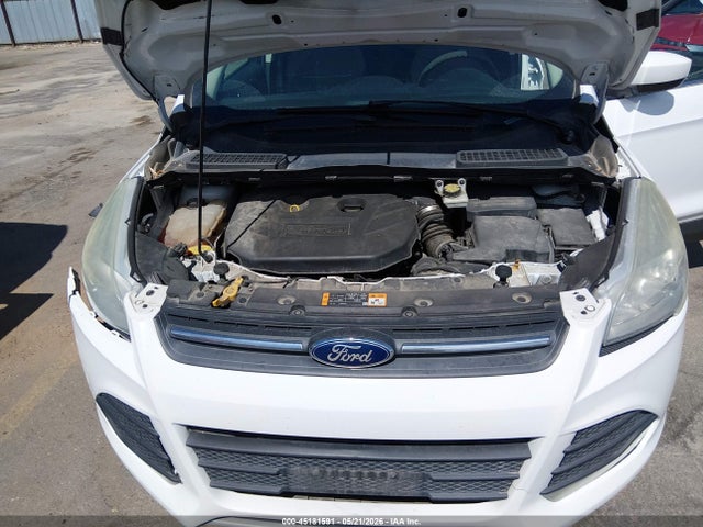 Ford ESCAPE SE 2014 1FMCU9G93EUA15260 Image 10