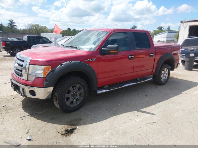 Aukcja sprzedaży 2009 Ford F-150 Xl/xlt, vin: 1FTRW14869FA76411, numer aukcji: 45181998