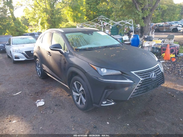 45183346 :رقم المزاد ، JTJGJRDZ4M2151410 vin ، 2021 Lexus Nx 300h مزاد بيع