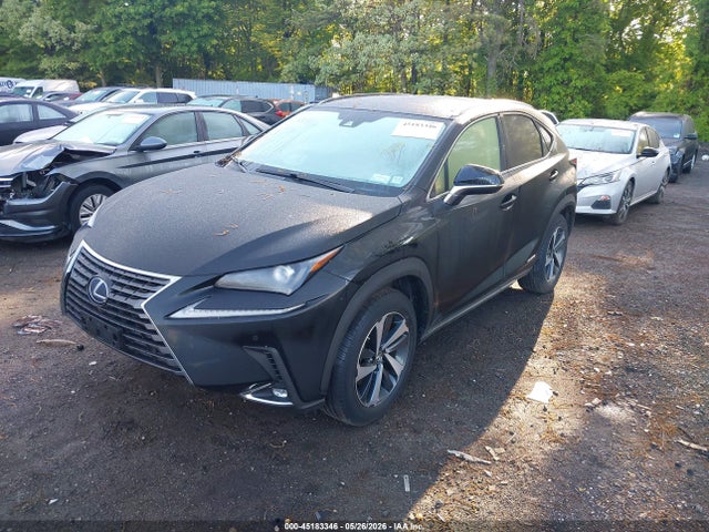 45183346 :رقم المزاد ، JTJGJRDZ4M2151410 vin ، 2021 Lexus Nx 300h مزاد بيع