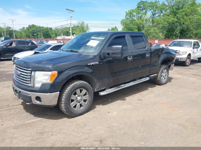 45186957 :رقم المزاد ، 1FTFW1EV7AFC74328 vin ، 2010 Ford F-150 Fx4/harley-davidson/king Ranch/lariat/platinum/xl/xlt مزاد بيع