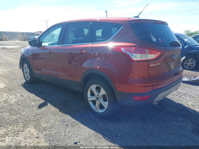 Aukcja sprzedaży 2014 Ford Escape Se, vin: 1FMCU0GX9EUE50049, numer aukcji: 45187320