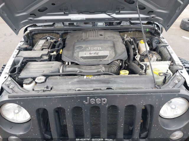Auction sale of the 2017 Jeep Wrangler Unlimited Big Bear 4x4, vin: 1C4BJWDG0HL695199, lot number: 45187797