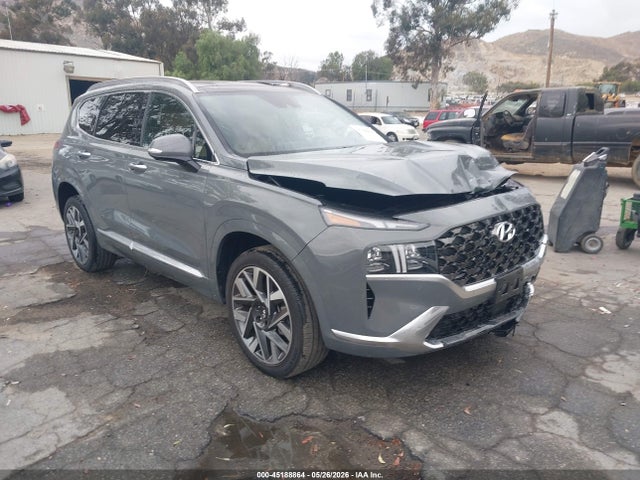 Hyundai Santa Fe Calligraphy 2022 5NMS5DAL5NH459736 Image 1