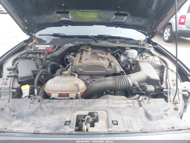 Продаж на аукціоні авто 2019 Ford Mustang Ecoboost, vin: 1FA6P8TH5K5117509, номер лоту: 45193317