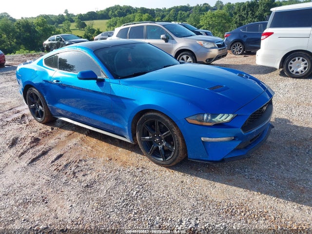 Продажа на аукционе авто 2019 Ford Mustang Ecoboost, vin: 1FA6P8TH6K5202052, номер лота: 45195583