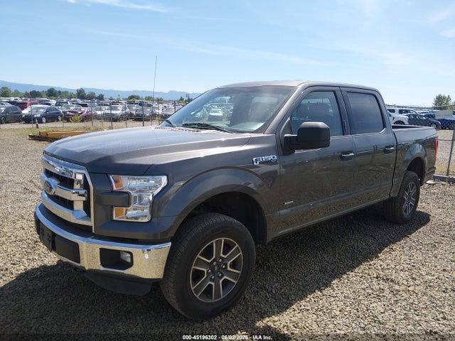 1FTEW1EG1FFA41226 Ford F-150 Xlt