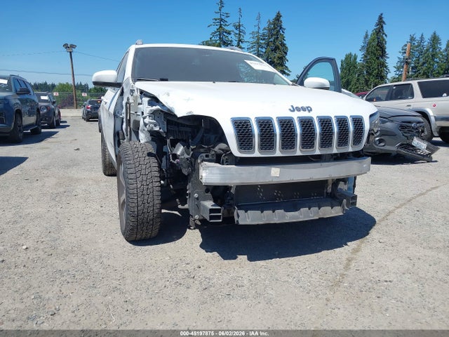 Jeep Cherokee Limited 4x4 2019 1C4PJMDXXKD197894 Image 6