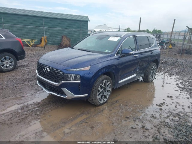 Продаж на аукціоні авто 2023 Hyundai Santa Fe Calligraphy, vin: 5NMS5DAL2PH596961, номер лоту: 45198497