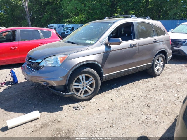 Продаж на аукціоні авто 2010 Honda Cr-v Ex-l, vin: 5J6RE4H7XAL060671, номер лоту: 45199072