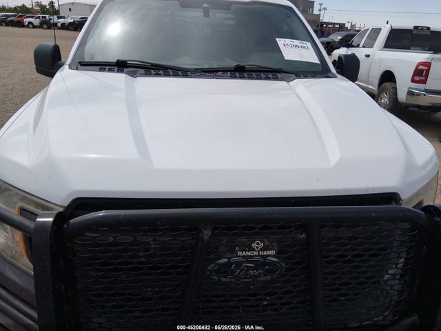 1FTFX1E52KKE84633 Ford F-150 Xl