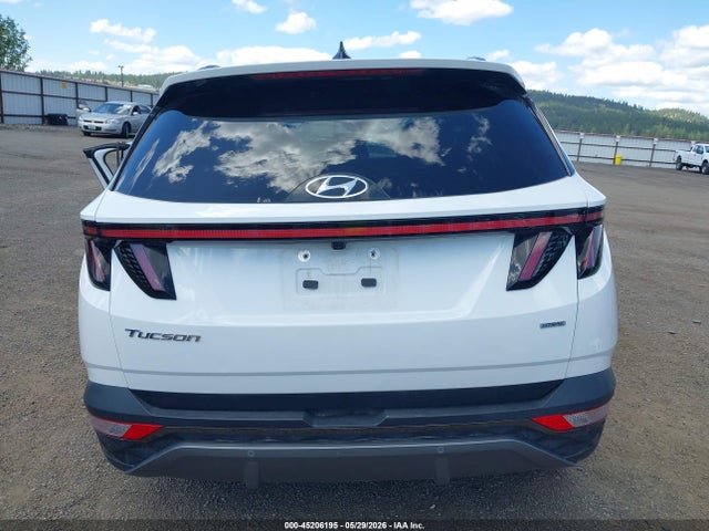 Hyundai Tucson Limited 2024 5NMJECDEXRH319237 Image 17
