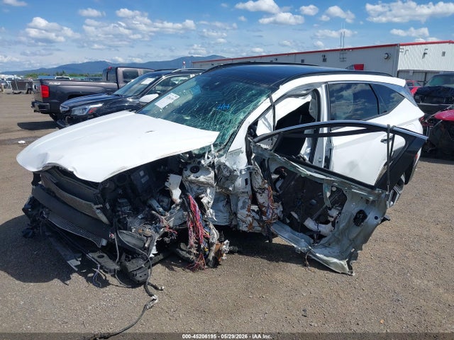 Hyundai Tucson Limited 2024 5NMJECDEXRH319237 Image 2
