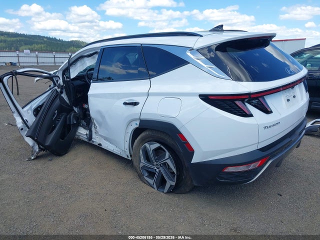 Hyundai Tucson Limited 2024 5NMJECDEXRH319237 Image 3