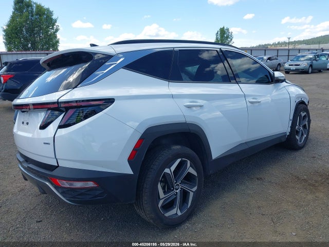 Hyundai Tucson Limited 2024 5NMJECDEXRH319237 Image 4