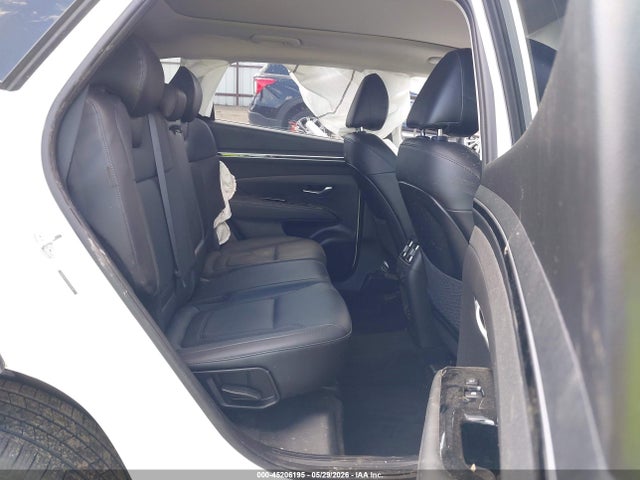 Hyundai Tucson Limited 2024 5NMJECDEXRH319237 Image 8