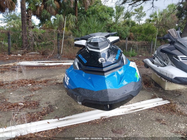 Продажа на аукционе авто 2018 Seadoo Other, vin: YDV41259B818, номер лота: 45206785
