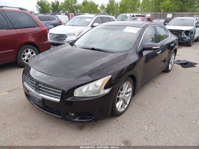45207540 :رقم المزاد ، 1N4AA5AP8AC814302 vin ، 2010 Nissan Maxima 3.5 Sv مزاد بيع