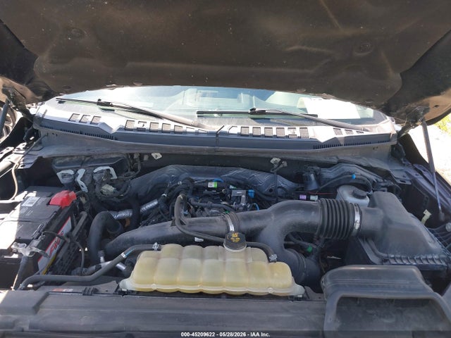 Aukcja sprzedaży 2019 Ford F-150 Xlt, vin: 1FTEW1EP9KFB61981, numer aukcji: 45209622