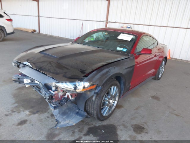Ford Mustang Ecoboost 2019 1FA6P8TH8K5118573 Image 2