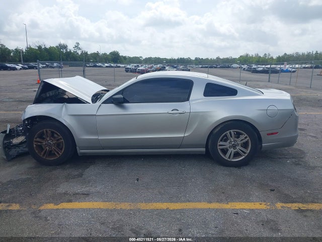 45211521 :رقم المزاد ، 1ZVBP8AM9D5246023 vin ، 2013 Ford Mustang V6 مزاد بيع