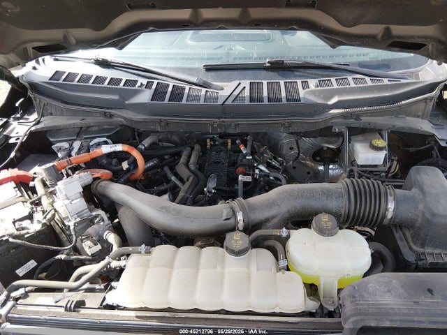 Aukcja sprzedaży 2024 Ford F-150 Xlt, vin: 1FTFW3LD7RFA48212, numer aukcji: 45212796